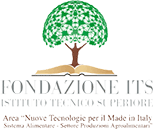 Fondazione IFTS